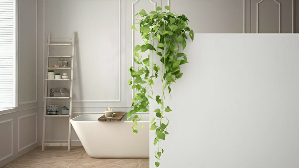 plantes à mettre dans une salle de bain