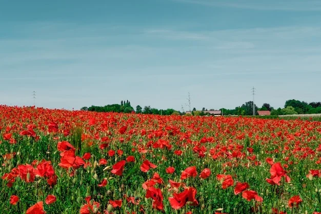 Fleur des champs dans un champ de blé