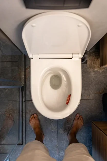 deboucher-canalisation-wc