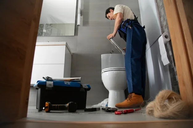 deboucher-canalisation-wc