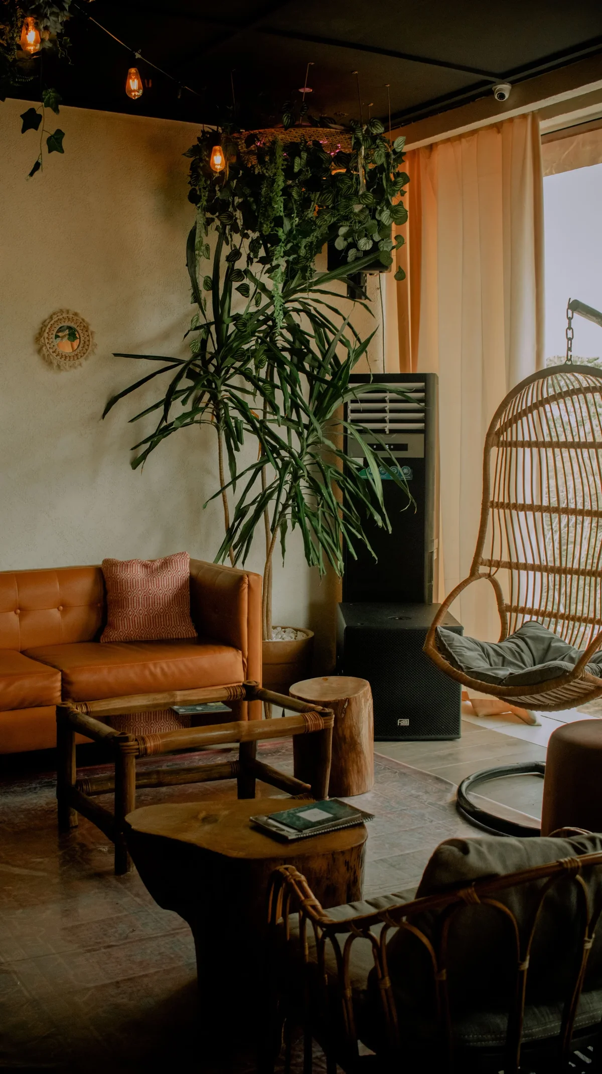 salon cosy