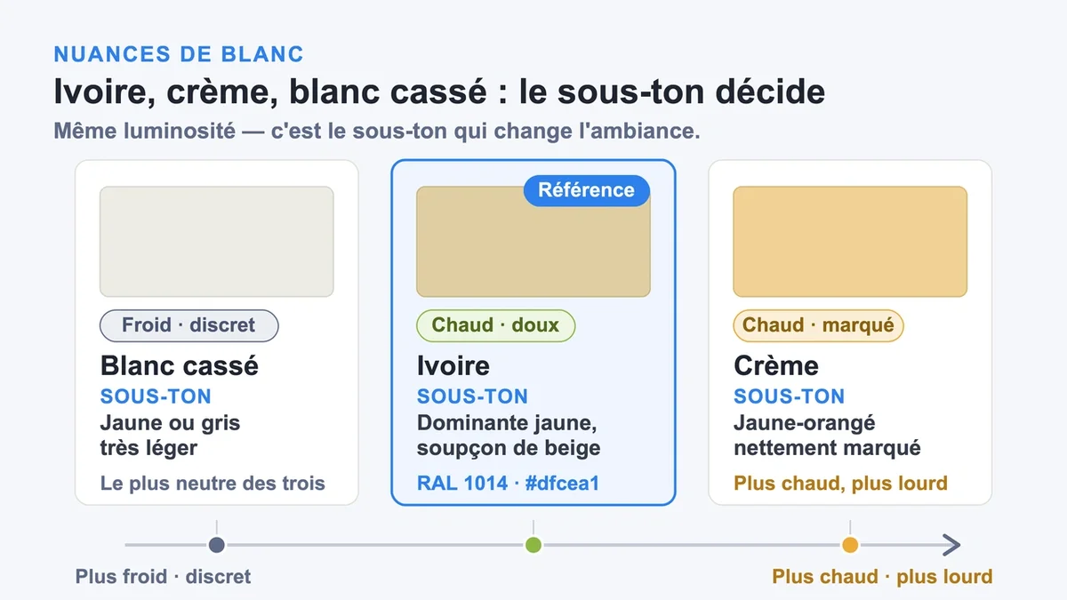 Palette de couleurs illustrant les nuances d'ivoire, crème et blanc cassé avec leurs sous-tons respectifs